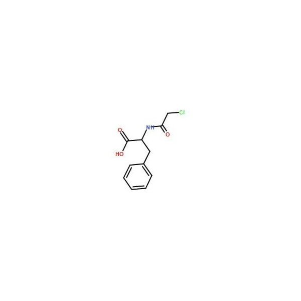 Ak Scientific N-Chloroacetyl-DL-phenylalanine (1g), CAS 7765-11-9 3204AL-1g - main