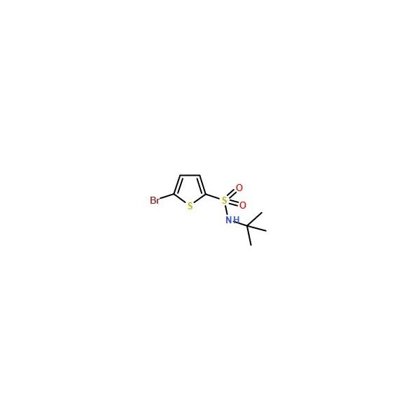 Ak Scientific 5-Bromo-N-tert-butyl-2-thiophenesulfonamide (1g), CAS 286932-39-6 V0674-1g - main