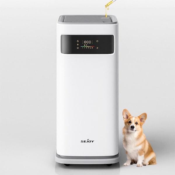 Edendirect 640 sq.ft. HEPA13 Air Purifier White with 4-Speed, Auto & Sleep Modes, Wi-Fi Control, 12H Timer ZR-AP301AW-White - main