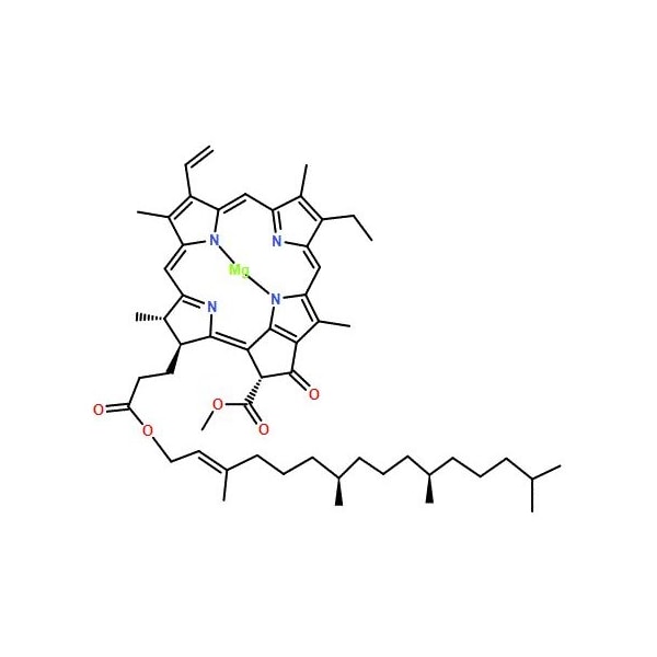 Ak Scientific Chlorophyll (1g), CAS 1406-65-1 X7304-1g - main