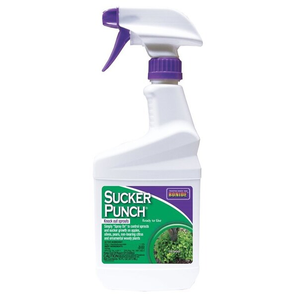 Bonide Products Sucker Punch, Liquid, White, 16 oz 2761 - main