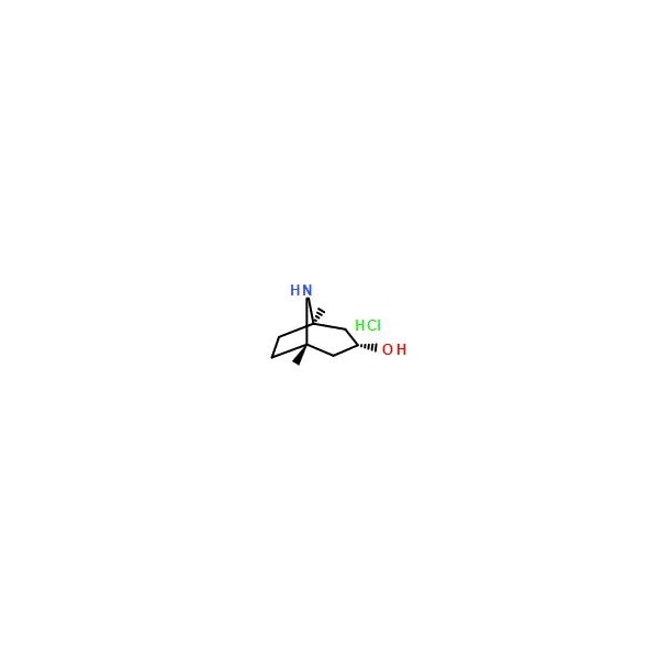 Ak Scientific Nortropine HCl (1g), CAS 14383-51-8 V0900-1g - main