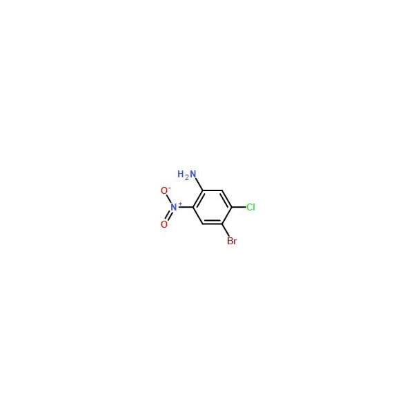 Ak Scientific 4-Bromo-5-chloro-2-nitroaniline (10g), CAS 827-33-8 2784AC-10g - main