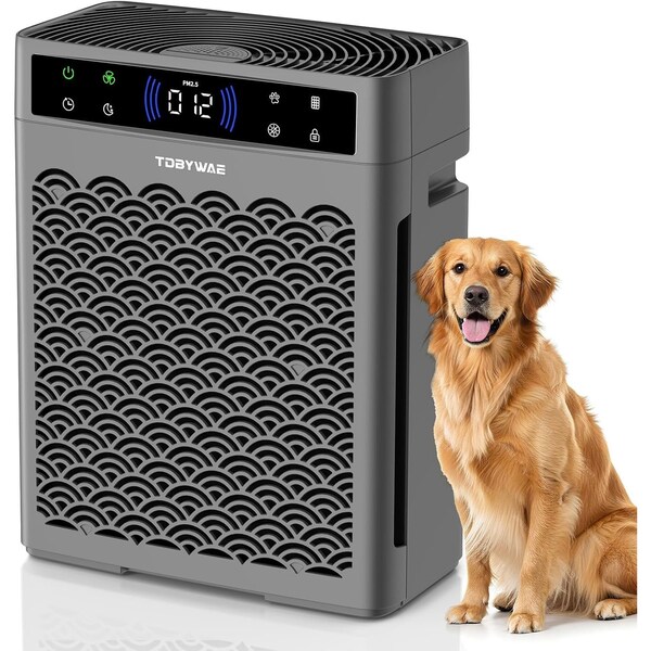 Edendirect 1250 sq.ft. True HEPA Air Purifier in Gray with 3-Speed, PM2.5 Real-time Display and 12H Timer ZR-QRSHA0229USV01 - main