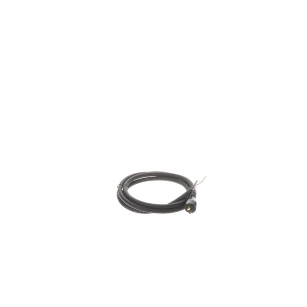 Dewalt CORD AND PLUG 614838-00 - main