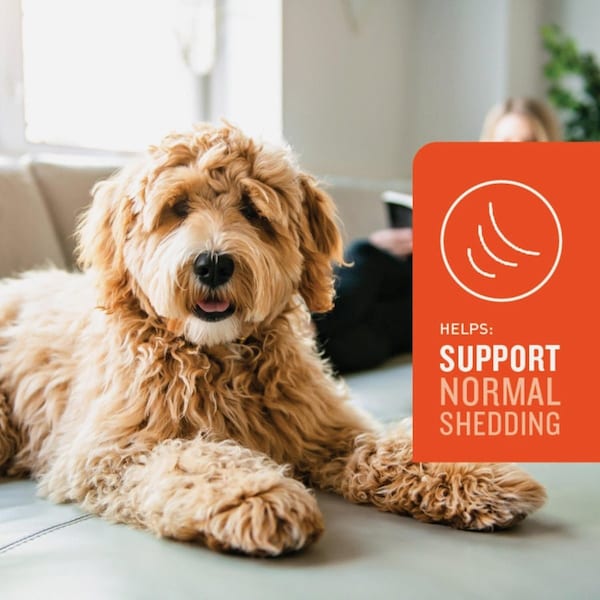 Vetiq 7.4 Oz. Skin & Coat Chews, 60PK 183169 - main