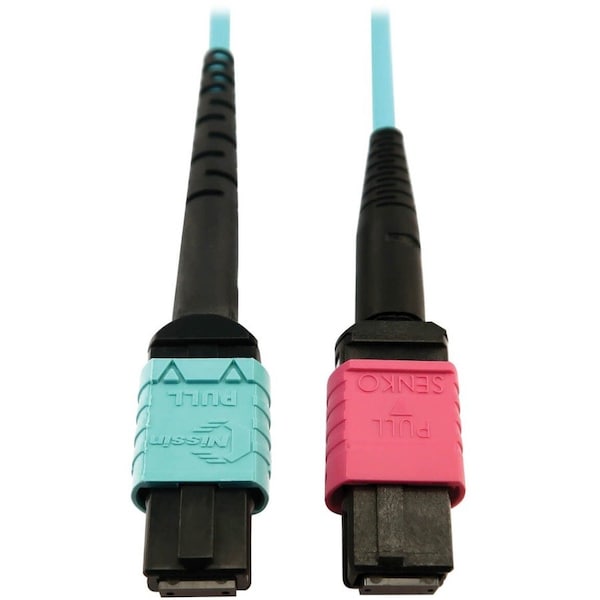 Tripp Lite Fiber Cable N846D-01M-24DAQ - main
