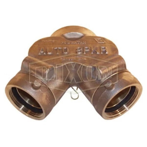 Dixon STRAIGHT 4 FNPT x 2-1/2 FNPSH DBL CLAPPER DCS4025 - main