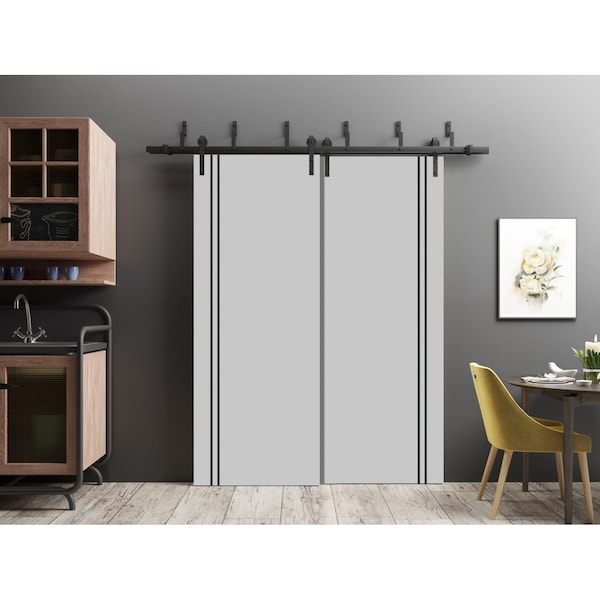 Sartodoors Barn Bypass Doors with 6.6ft Hardware, Planum 0016 Matte Grey and Aluminum Strips, Sturdy Heavy Dut PLANUM0016BBB-GRE-6096 - main