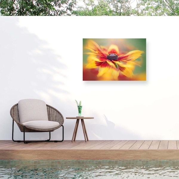 Trademark Fine Art Outdoor Canvas Art Jacky Parker 'Vibrance' Wall Art for Patios, or Gardens 1X28303-OC1219WR - main