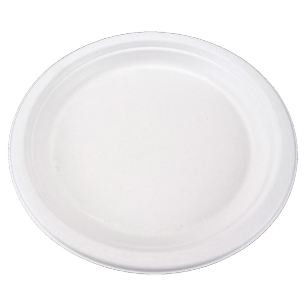 Rdi Bagasse Plate 10" 500cs, 500PK PLT-BGS-RND10 - main