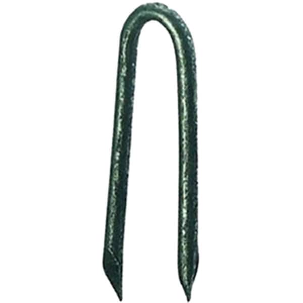 Primus Source Prime Source 1.25 in. Hot Galvanized Staple Fence, 5 lbs, 6PK 114HGFS5 - main