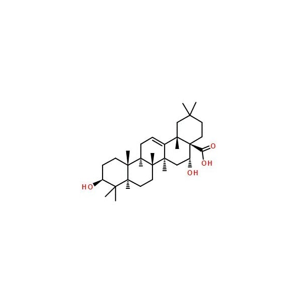 Ak Scientific Echinocystic acid (1mg), CAS 510-30-5 W2530-1mg - main