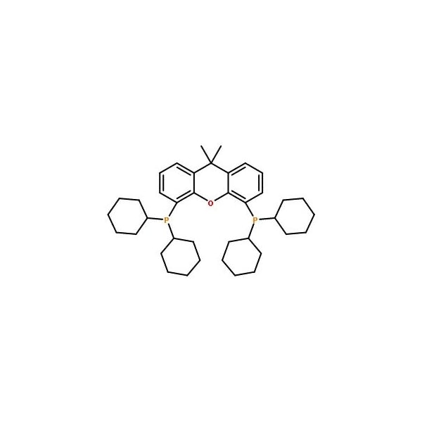 Ak Scientific 4, 5-Bis(dicyclohexylphosphino)-9, 9-dimethyl-9H-xanthene (10g), CAS 940934-47-4 6046AC-10g - main
