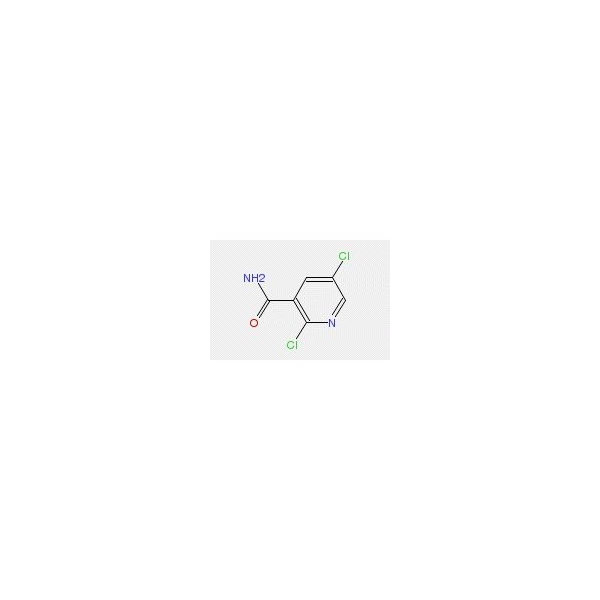 Ak Scientific 2, 5-Dichloronicotinamide (5g), CAS 75291-86-0 W8269-5g - main