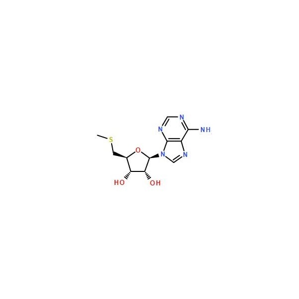 Ak Scientific 5'-Deoxy-5'-(methylthio)adenosine (100mg), CAS 2457-80-9 W1114-100mg - main