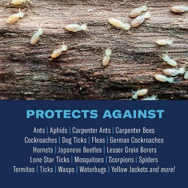 Bioadvanced Carpenter Ant & Termite Killer Plus 1 Gal. Ready To Use Ant & Termite Killer 700332A - main