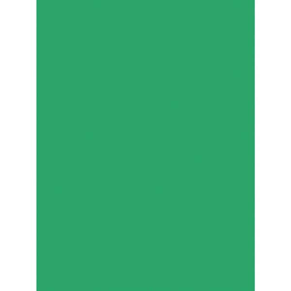 Pacon SunWorks, CONSTRUCTION PAPER, 58LB, 18 X 24, HOLIDAY GREEN, 50PK 8017 - main