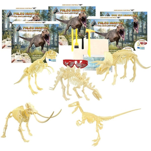 Hamiltonbuhl Paleo Hunter Dig Kit for STEAM Education - All Five Dinosaurs PH-KIT5 - main