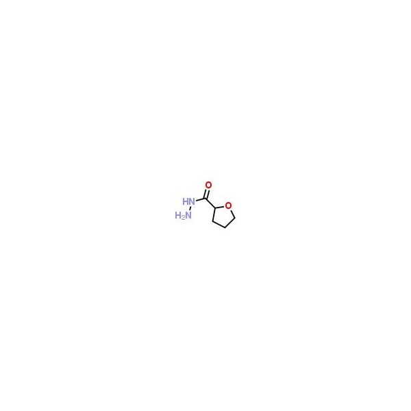 Ak Scientific Tetrahydrofuran-2-carboxylic acid hydrazide (1g), CAS 59293-11-7 B120-1g - main