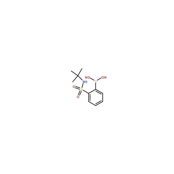Ak Scientific 2-(t-Butylamino)sulfonylphenylboronic acid (5g), CAS 150691-04-6 X0536-5g - main