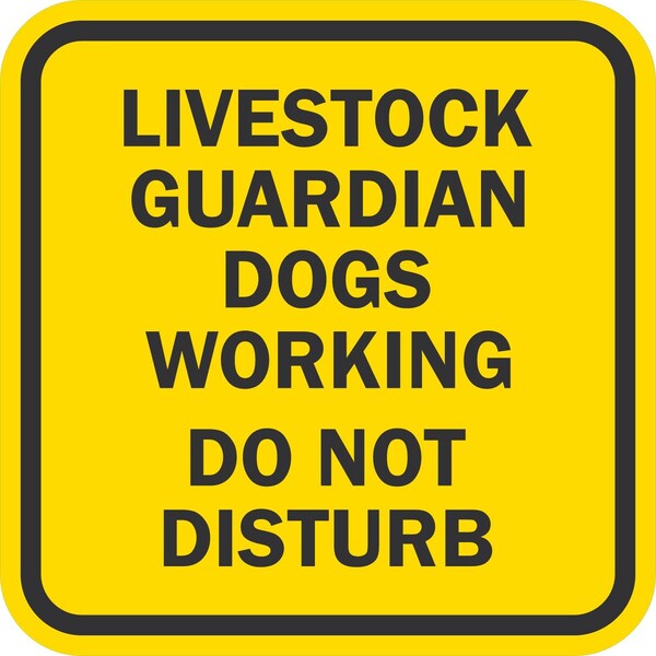 Lyle Livestock Guardian Dogs Working Do Not Disturb, 12x12, Diamond Grade, Yellow G-2218-DG_12x12 - main