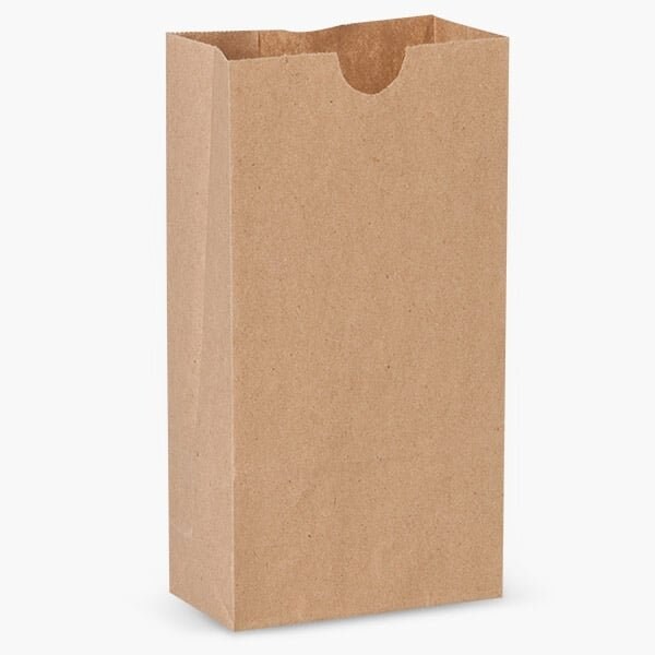 Nashville Wraps Recycled Brown Kraft Gift Sack, 4 lb Bag 5x3x9.5, 500PK B4KRR - main