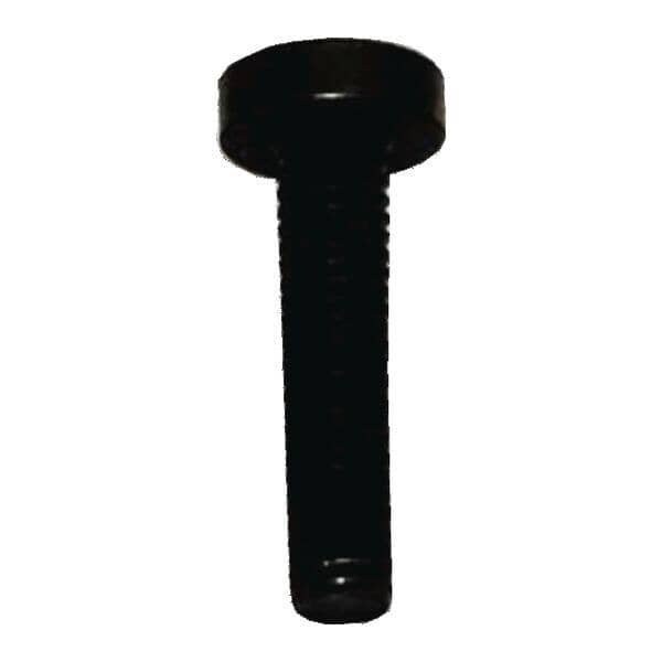 Bosch Screw 10004531 - main
