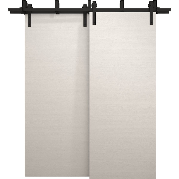 Sartodoors Sliding Closet Barn Bypass Doors 36 x 80 inches, Ego 5000 Painted White Oak, Modern 6.6ft Rails Ha EGO5000BBB-PWO-36 - main