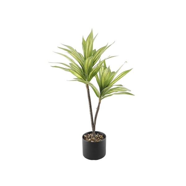 Flora Bunda 36'H Palm in 8' Ceramic 7.625X7.625X6 CS5079E-BK - main