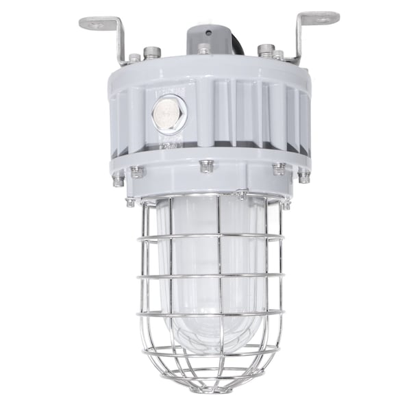 Led Lighting Supply 40W Explosion Proof Jelly Jar LED Light, 5200 lm, Class 1 Div 1, 5000K, 100-277V MLLG-E-LED-EXPLG-40-50-C1D1 - main