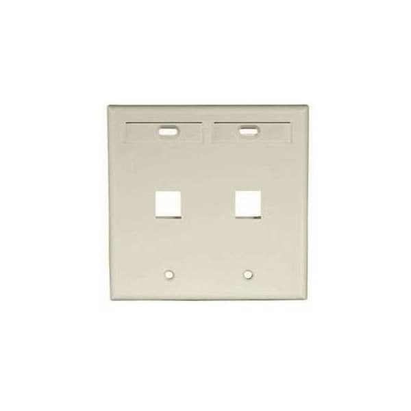 Leviton 2-Port Flush Mount Unloaded, 2Gang W/Des Window Quickport 42080-2IP - main