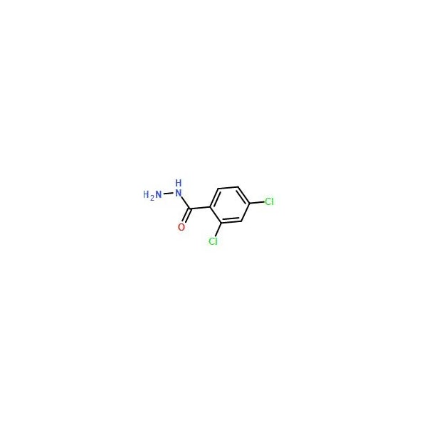 Ak Scientific 2, 4-Dichlorobenzhydrazide (5g), CAS 5814-06-2 6016AE-5g - main