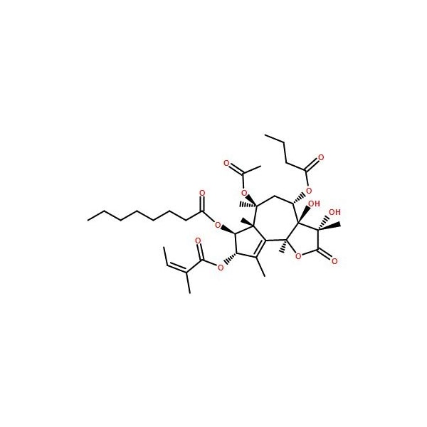 Ak Scientific Thapsigargin (25mg), CAS 67526-95-8 9122AJ-25mg - main