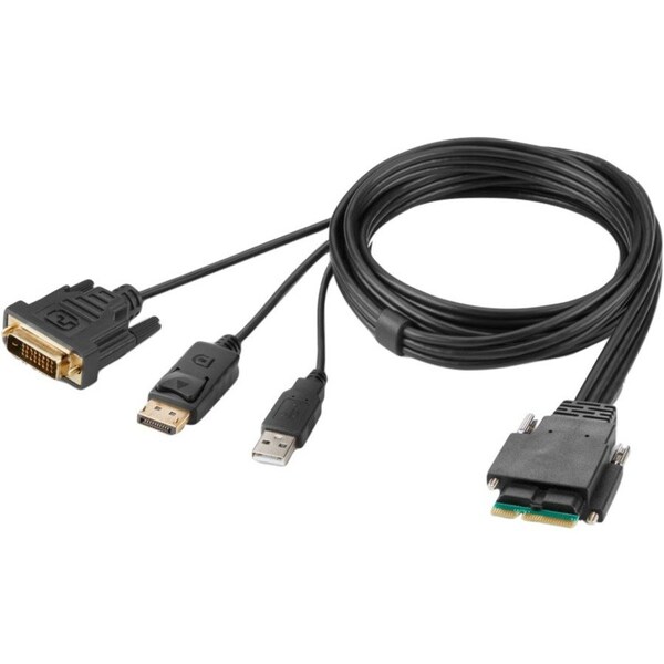 Belkin MODULAR DH HOST CABLE DVI AND DP 6 FEET F1DN2MOD-HC-DP6 - main