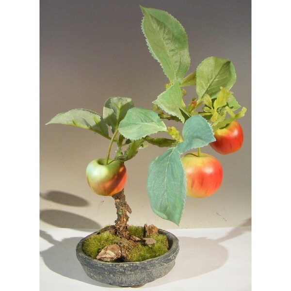 Paisaje Artificial Apple Bonsai Tree PA2529703 - main