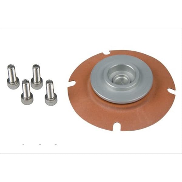 Aero-Motive 13001 Efi Regulator Service Kit A27-13001 - main