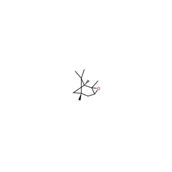 Ak Scientific alpha-Pinene oxide (100g), CAS 1686-14-2 V0570-100g - main