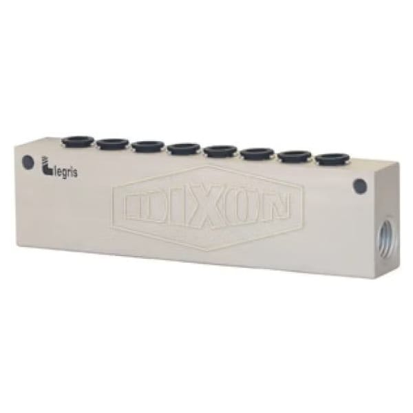 Dixon Legris by Modular Manifold, 8 1/4 in FNPT Outlets, Brass/Composite 33155614 - main