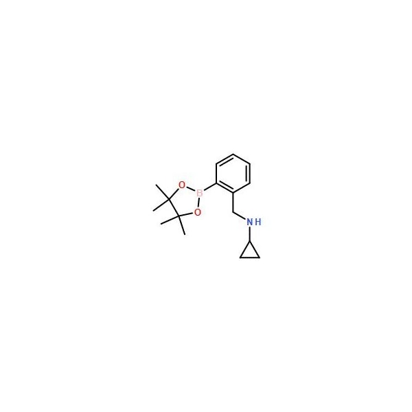 Ak Scientific 2-(N-Cyclopropylaminomethyl)phenylboronic acid pinacol ester (1g), CAS 1150271-52-5 Z7627-1g - main