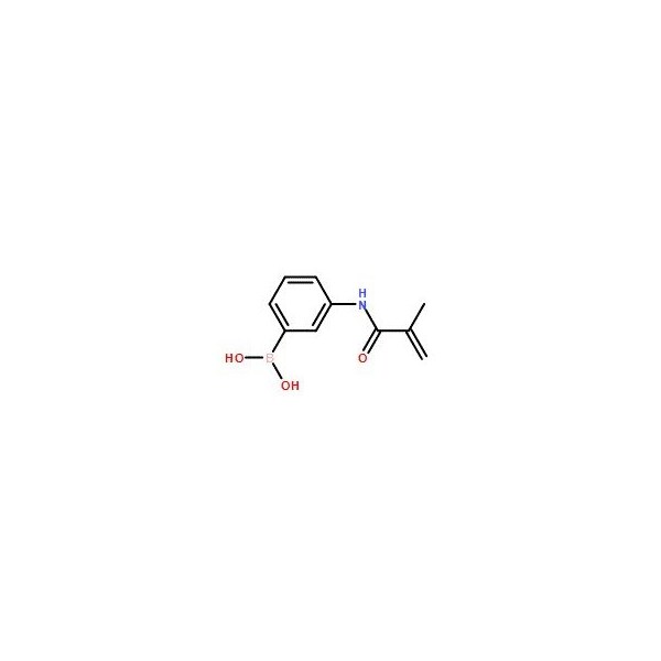 Ak Scientific 3-Methacrylamidophenylboronic acid (5g), CAS 48150-45-4 X0853-5g - main