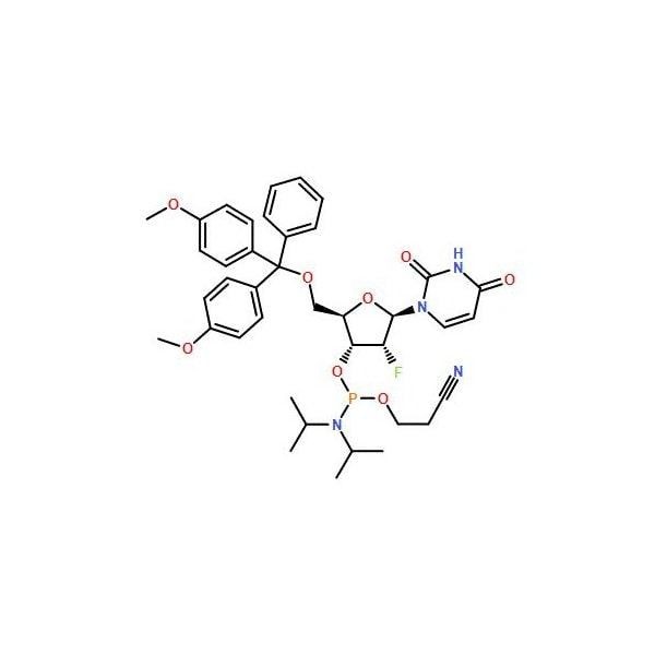 Ak Scientific DMT-2′Fluoro-dU Phosphoramidite (1g), CAS 146954-75-8 7292AA-1g - main