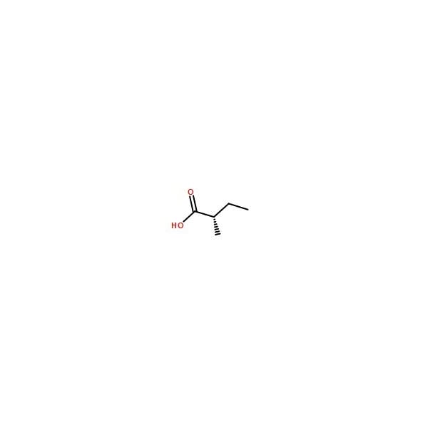 Ak Scientific (S)-(+)-2-Methylbutyric acid (250mg), CAS 1730-91-2 Z9667-250mg - main