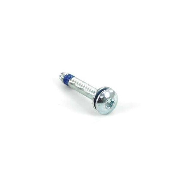 Whirlpool SCREW WPW10253476 - main