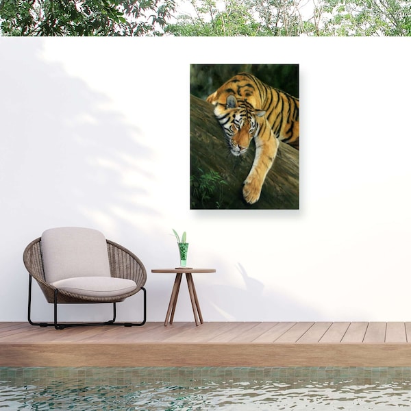 Trademark Fine Art Outdoor Canvas Art David Stribbling 'tiger tree branch' Wall Art for Patios, or Gardens GRL01596-OC2432WR - main