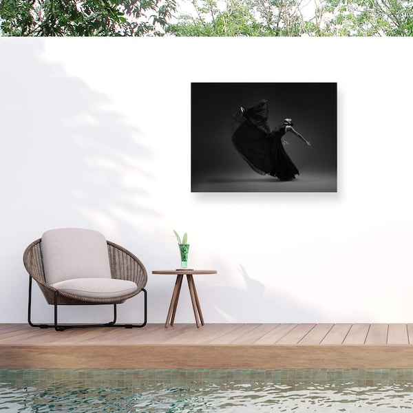 Trademark Fine Art Outdoor Canvas Art Rob Li Dance 2 Wall Art for Patios, or Gardens 1X16247-OC2432WR - main