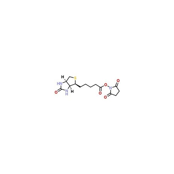 Ak Scientific (+)-Biotin N-hydroxysuccinimide ester (25g), CAS 35013-72-0 B433-25g - main