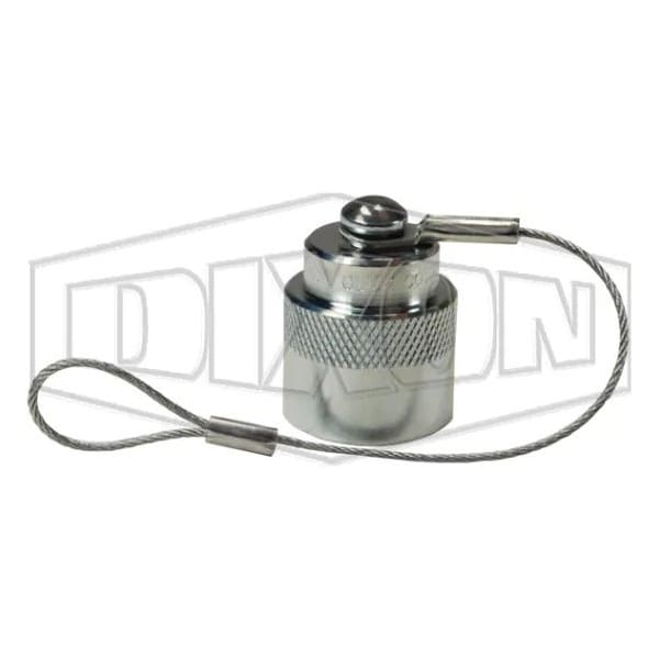 Dixon Enerpac 3000 Screw Type Interchange Dust Cap, 1/4 in Nominal, Steel, Domestic T2DC - main