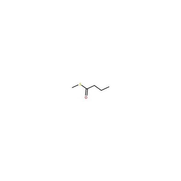 Ak Scientific Methyl thiobutyrate (5g), CAS 2432-51-1 8847AJ-5g - main