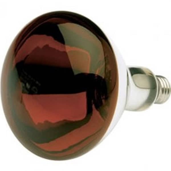 Ilc PHILIPS Replacement 250W R40 Incandescent PAR Lamp 250R40/HR/TG - main